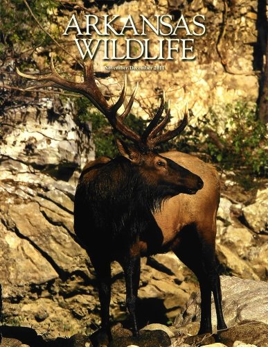 Arkansas Wildlife (1-year auto-renewal)