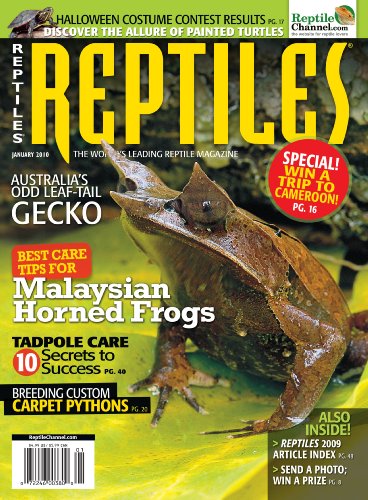 Reptiles (2-year)
